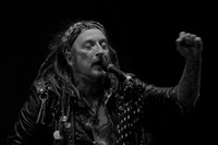 Wildhearts