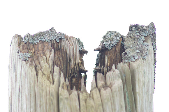 Fence post