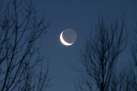 Morning Moon