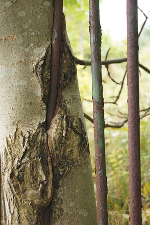 Nature fights back