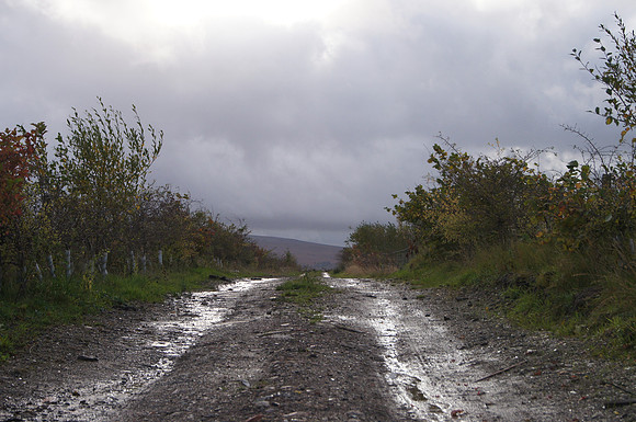 Farm Track